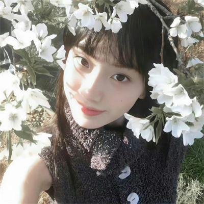 春满凤城