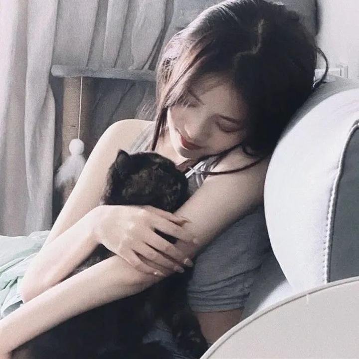 黑板丛林